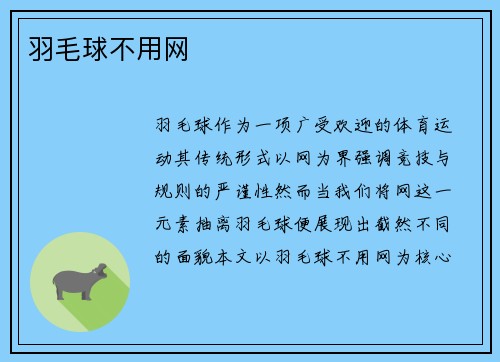 羽毛球不用网